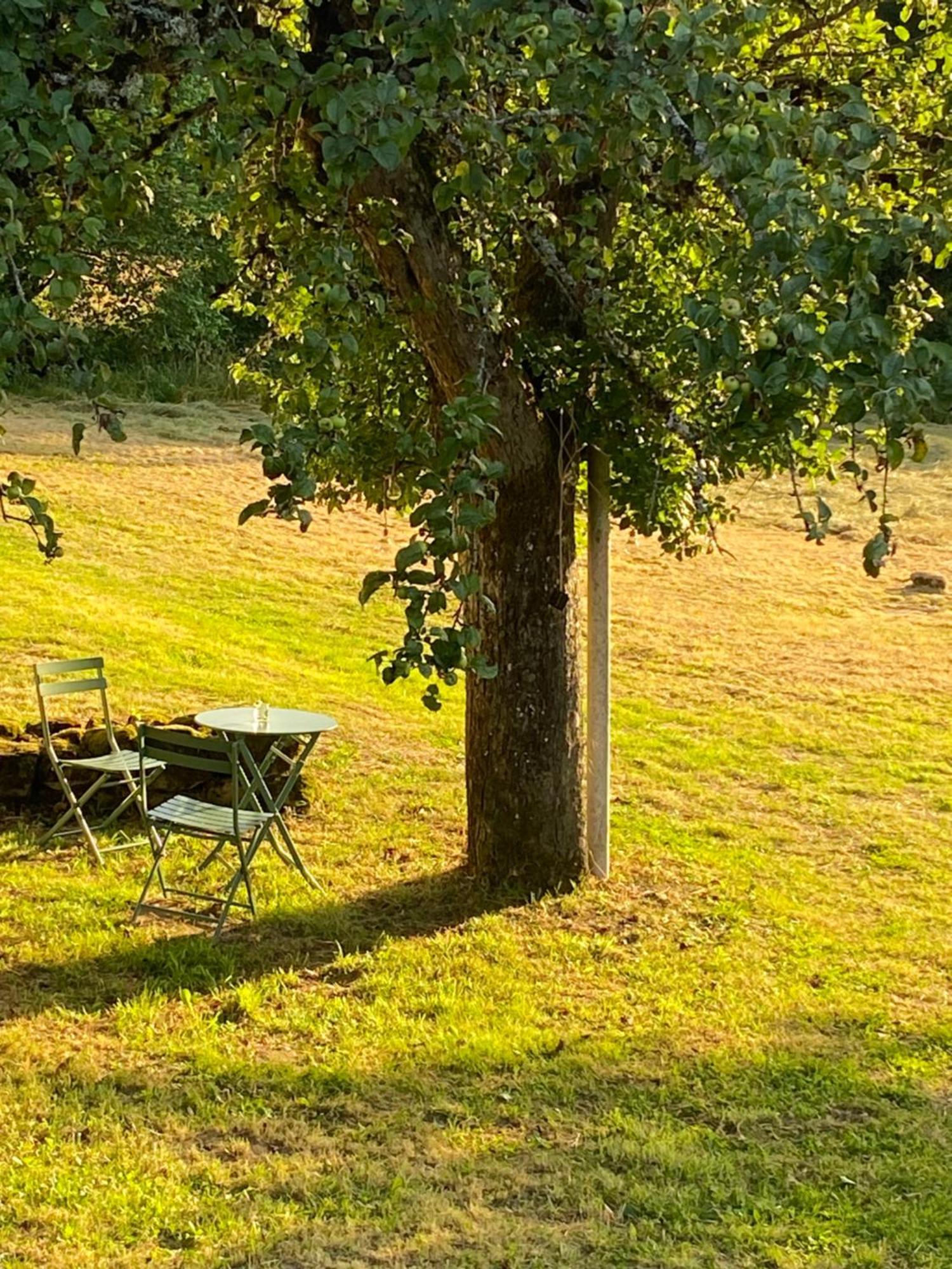 Une Pause En Correze Sarroux Ngoại thất bức ảnh